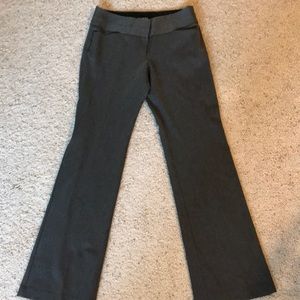 Express Editor dress pant TALL